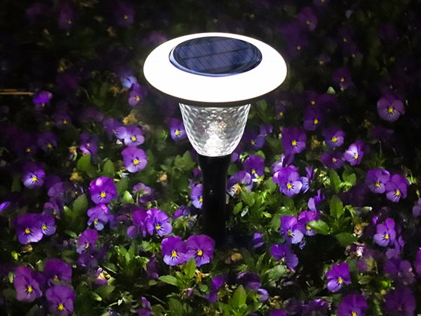 LED Solar Crystal Garden Glow