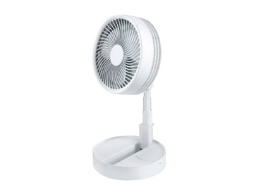 The fan